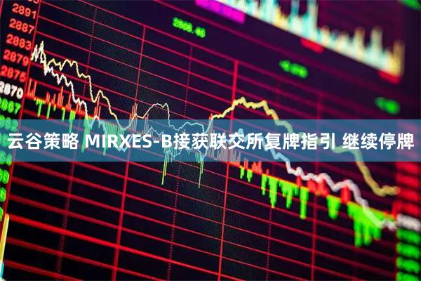 云谷策略 MIRXES-B接获联交所复牌指引 继续停牌