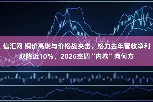 信汇网 铜价高烧与价格战夹击，格力去年营收净利双降近10％，2026空调“内卷”向何方