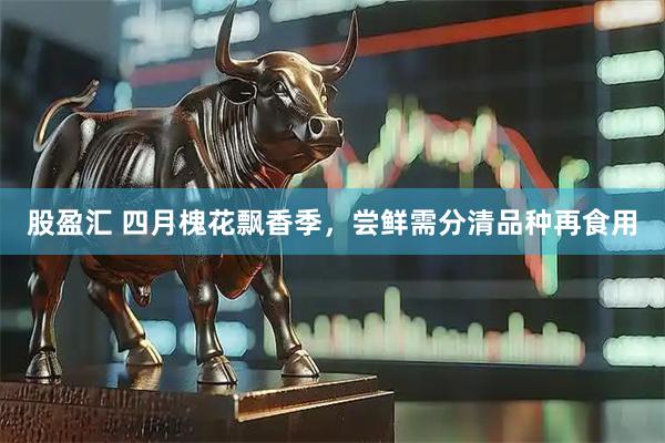 股盈汇 四月槐花飘香季，尝鲜需分清品种再食用
